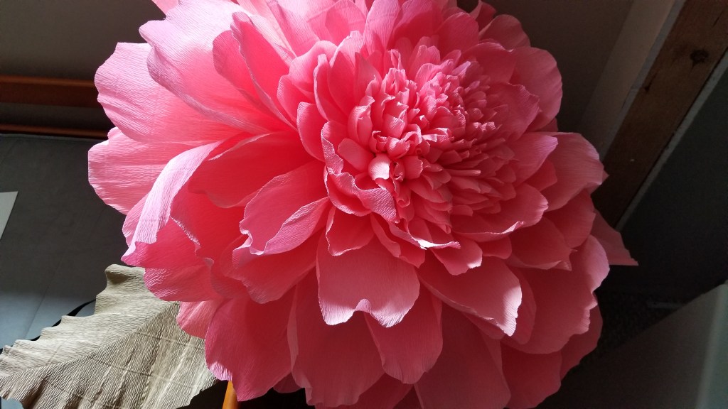 Types of Crepe Paper