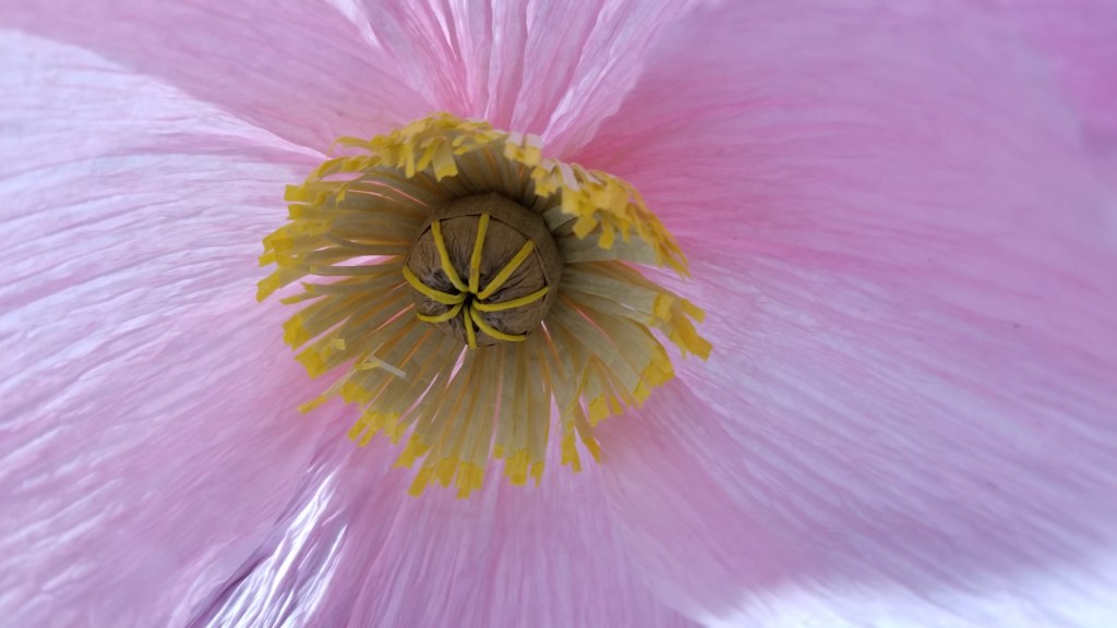 Types of Crepe Paper