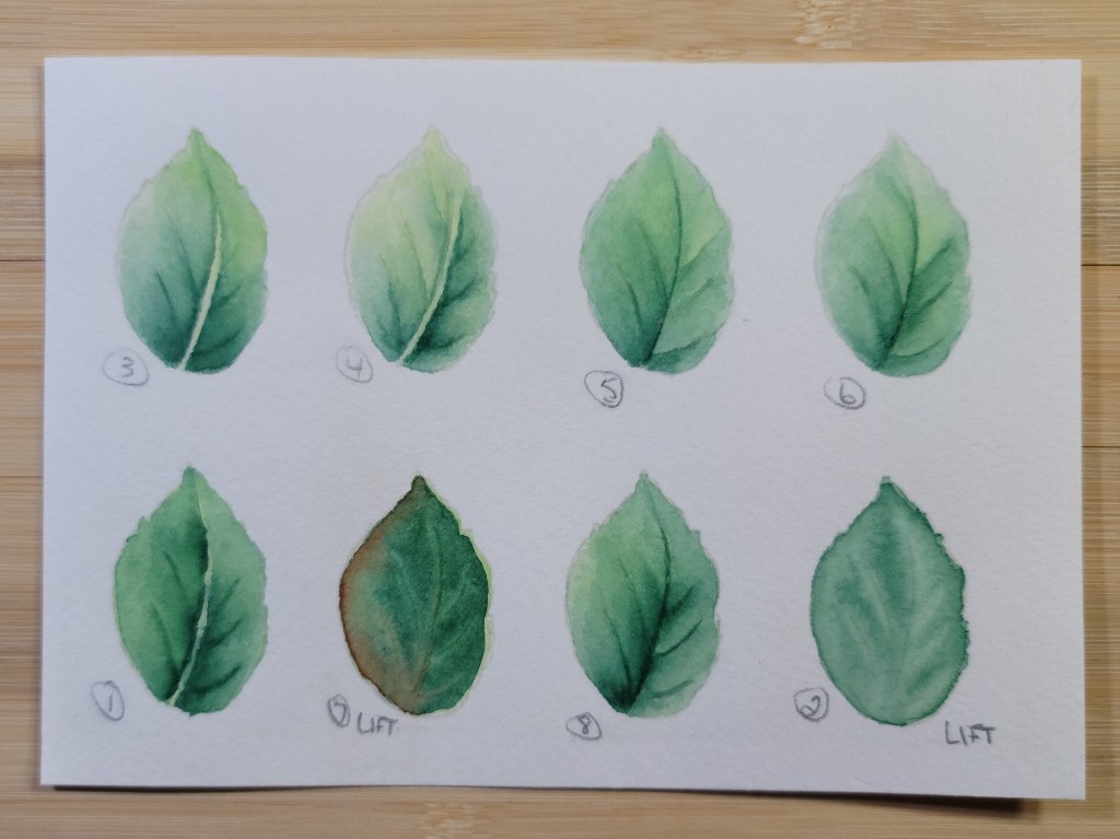 Botanical Illustration Inspired Watercolor